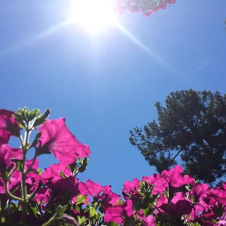 Ola アパートホテル 3*