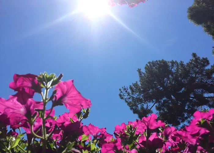 Ola 아파트호텔 3*